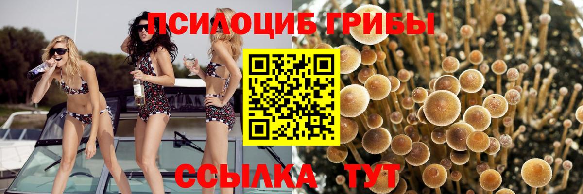 наркотики  Вход с VPN  Россия  Галлюциногенные грибы мицелий 