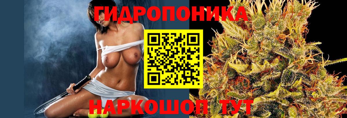 Конопля White Widow Россия